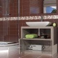 Sanıshower (3 ünite için pompa)