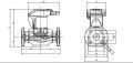 Evoplus B 60/250.40M(14510211) Flanşlı